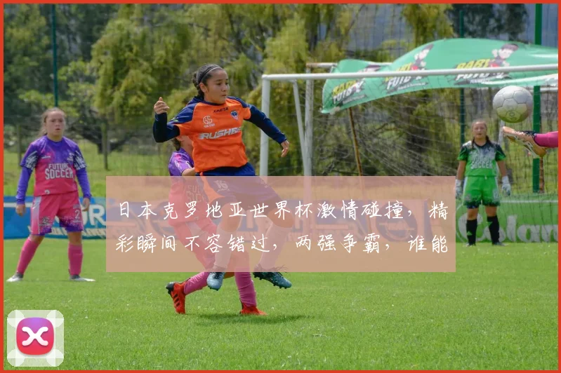 日本克罗地亚世界杯激情碰撞，精彩瞬间不容错过，两强争霸，谁能问鼎