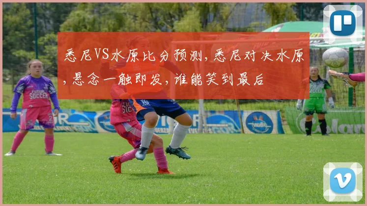 悉尼VS水原比分预测,悉尼对决水原,悬念一触即发,谁能笑到最后